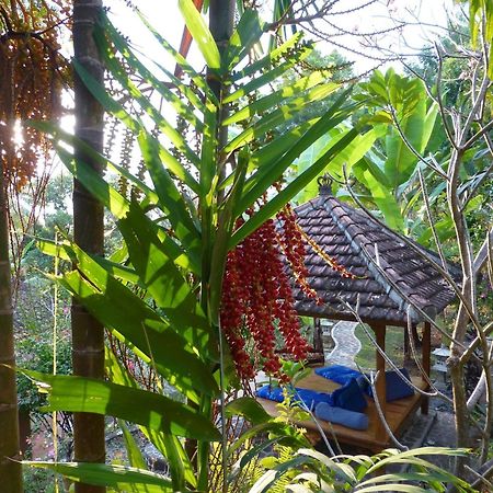 Sananda Bungalow Lovina Exterior foto