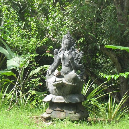 Sananda Bungalow Lovina Exterior foto