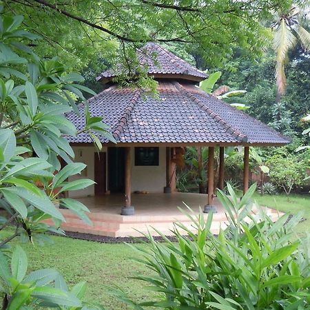 Sananda Bungalow Lovina Exterior foto