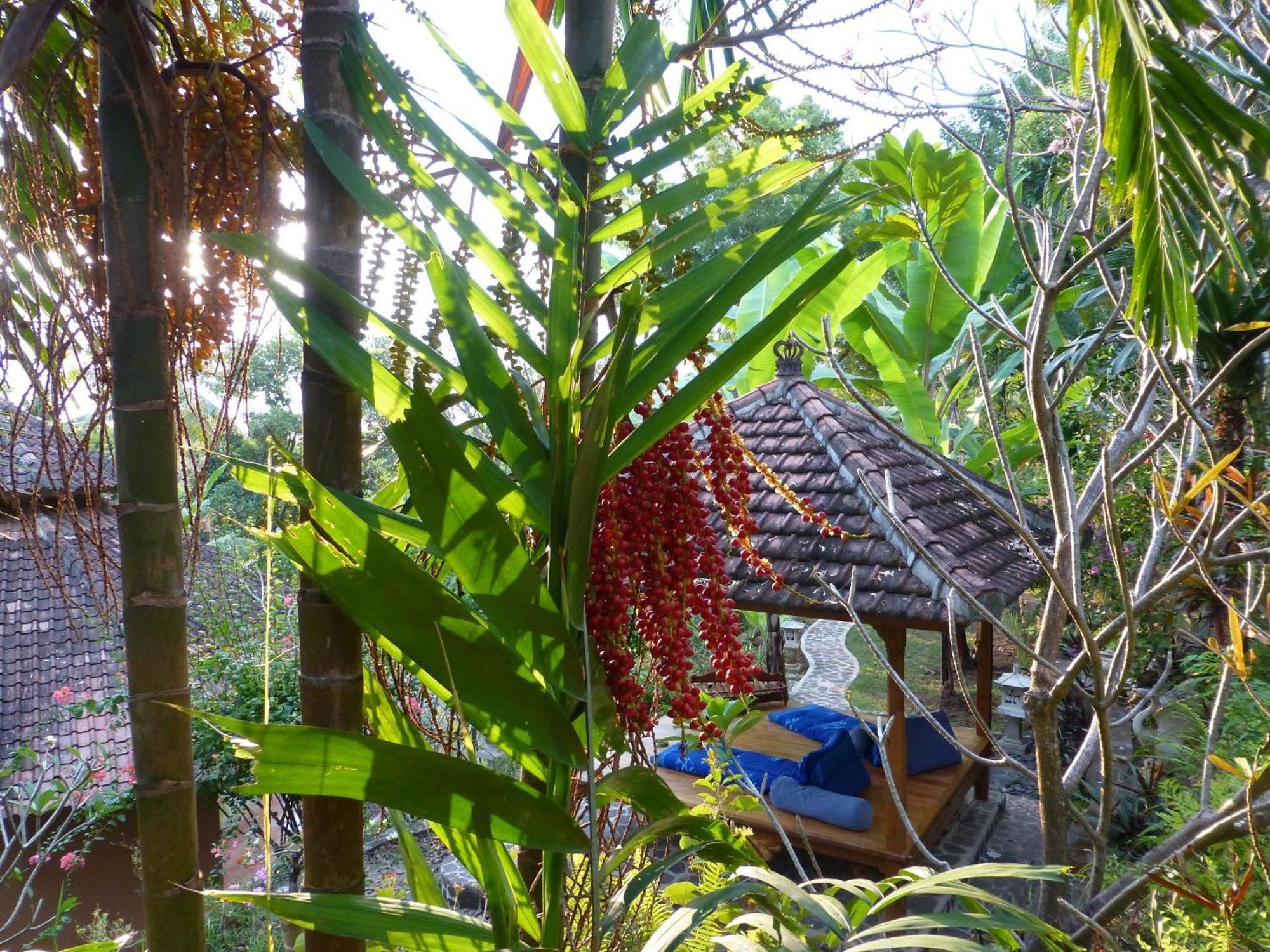 Sananda Bungalow Lovina Exterior foto
