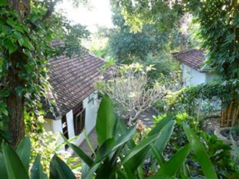 Sananda Bungalow Lovina Exterior foto