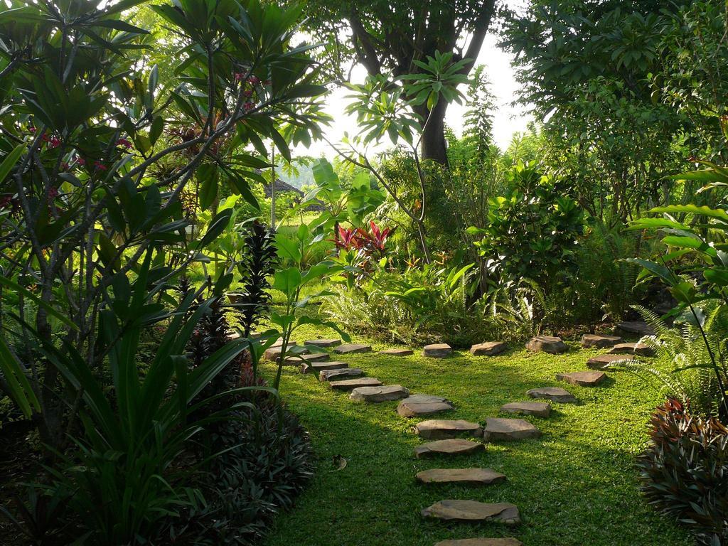 Sananda Bungalow Lovina Exterior foto