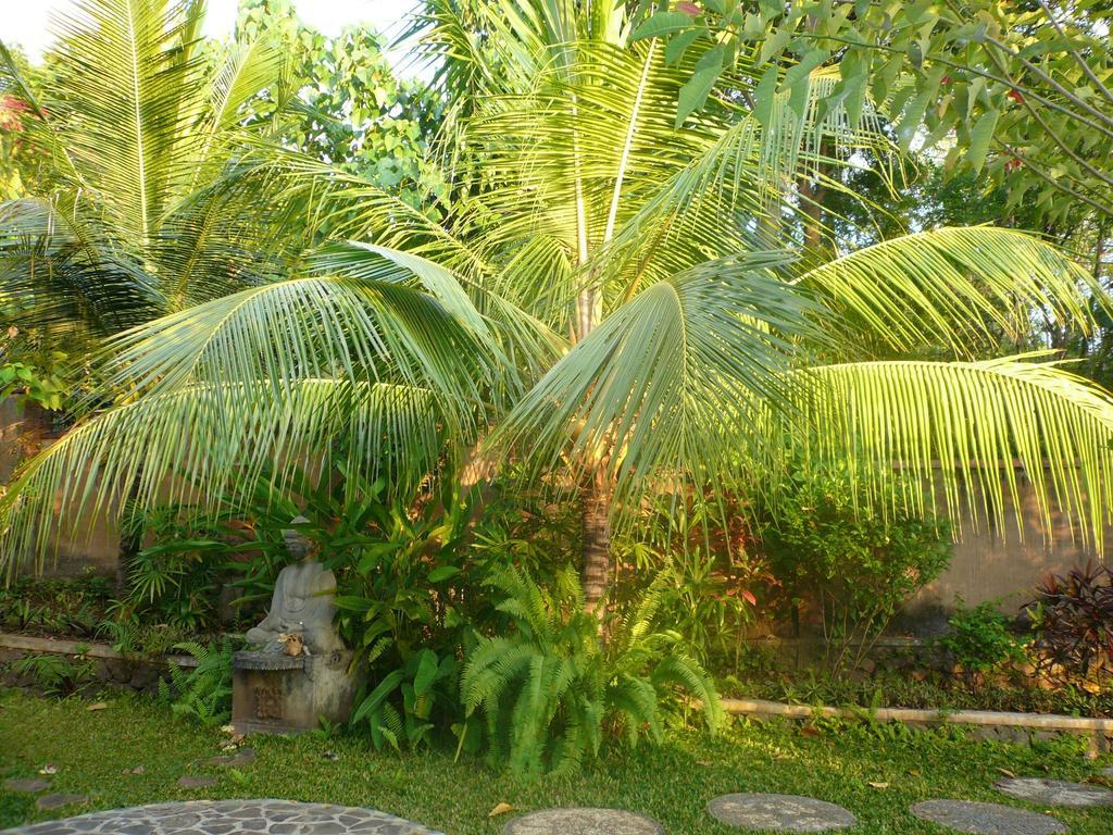 Sananda Bungalow Lovina Exterior foto